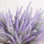 Arrangement de lavande Kassaraba-232822079