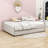 Tianne Upholstered Platform Daybed with USB and Twin Trundle-1743758349