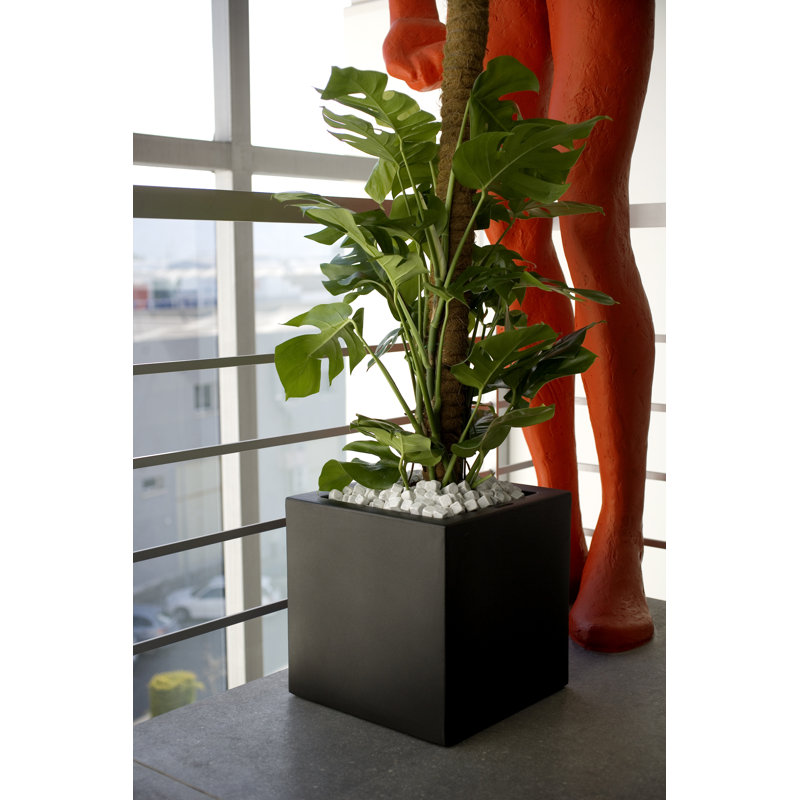 Pot de fleurs en résine Nano, H 7 po x l 7 po x P 7 po, Noir