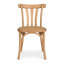 Elowen Elm Wood Dining Chair