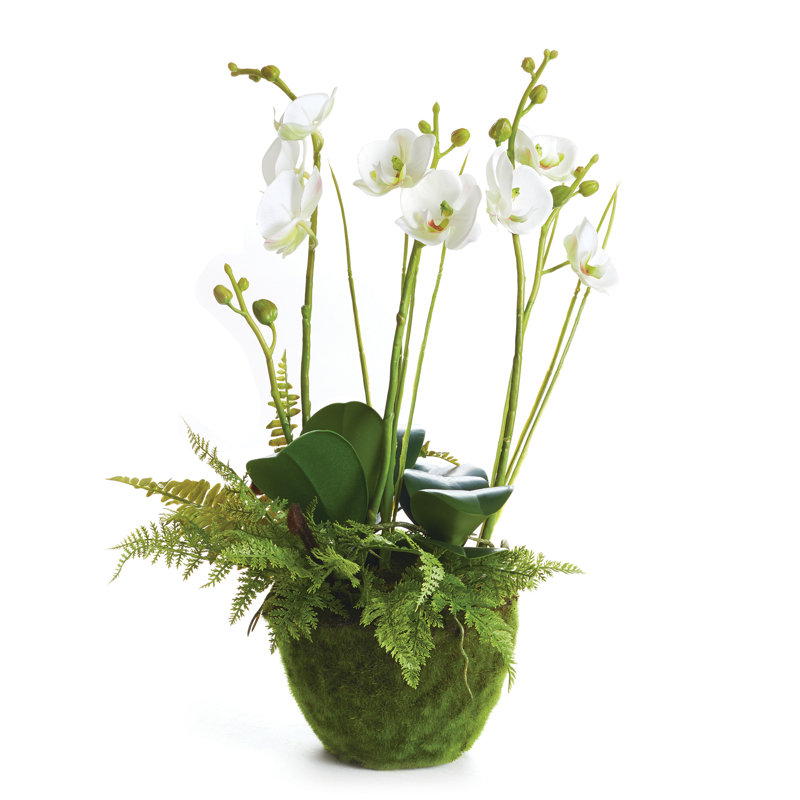 Orchid & Fern Drop-In 18"