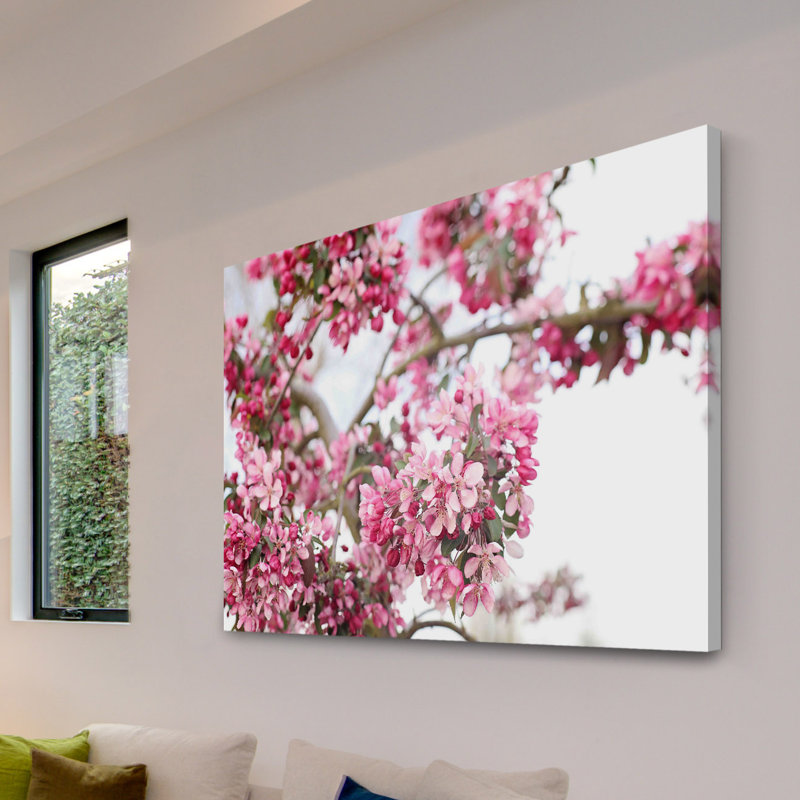 Spring In Pink by Sylvia Cook - Wrapped Canvas Print, 31cm H x 46cm W x 4cm D