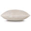 Sussex Velvet Square Pillow Cover & Insert