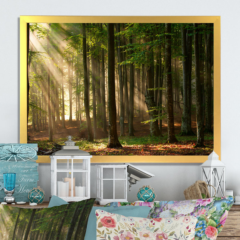 «Sunshine Through the Trees in the Woods», reproduction sur toile encadrée, H 24 po x l 36 po x P 1 po, Cadre photo doré