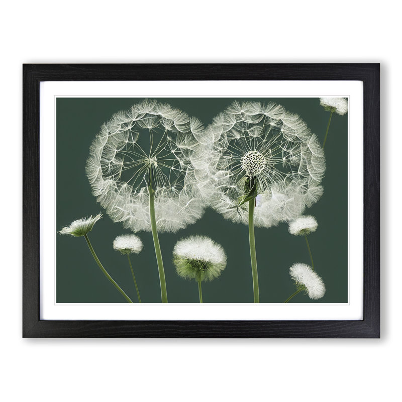 Blooming Dandelion Flowers - Framed Print, 34cm H x 46cm W x 2cm D, Black