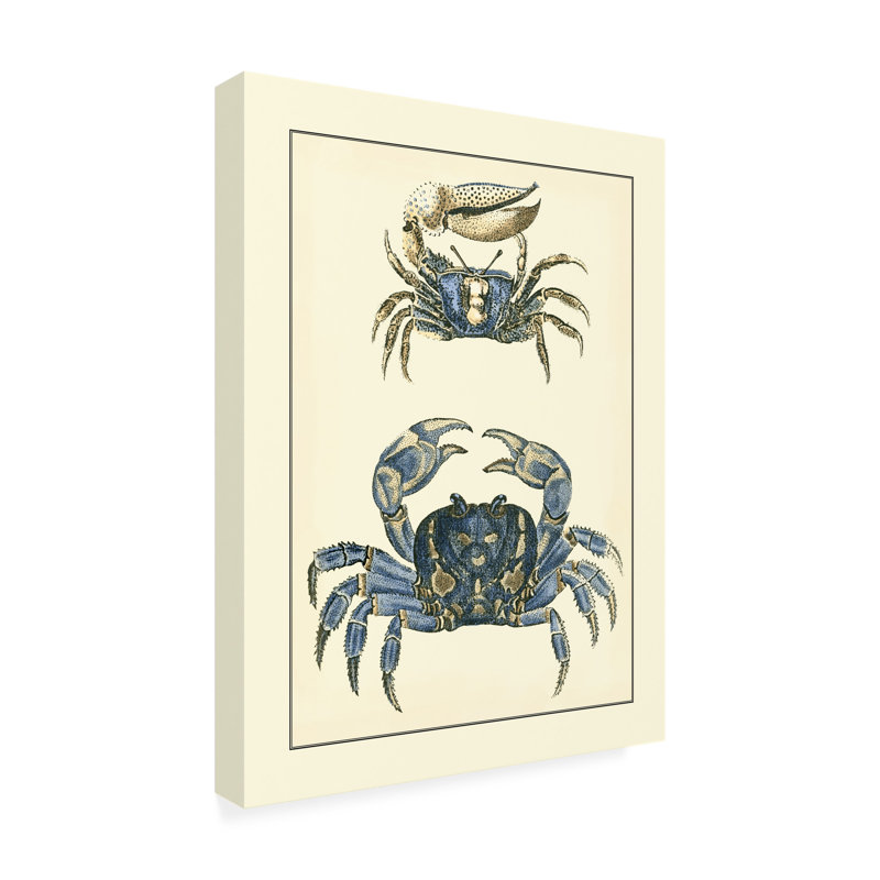 Toile d'extérieur «Antique Blue Crabs II» par Vision Studio, H 32 po x l 24 po x P 1,5 po