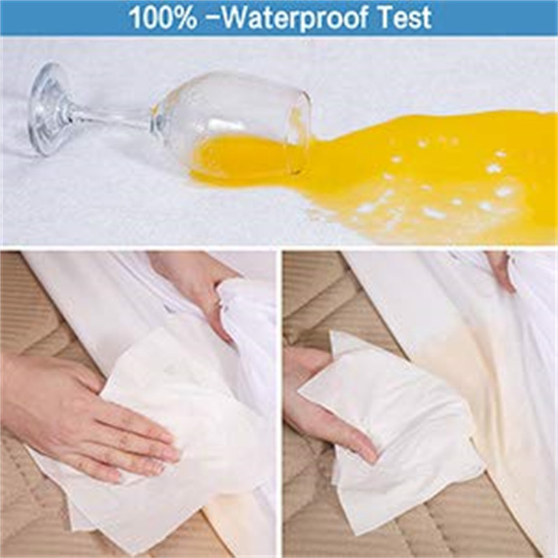 Glinski Mattress Protector Case Pack