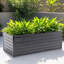 Ensemble de jardin surélevé, boîte à fleurs ergonomique en métal sans pliage, base ouverte pour le drainage - Assemblage facile-129024526-129024525
