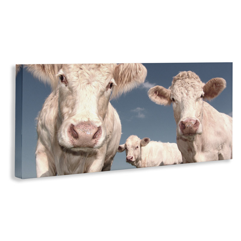 Trois vaches blanches sur toile par Marcus Prime, reproduction, H 13 po x l 30 po x P 1,5 po