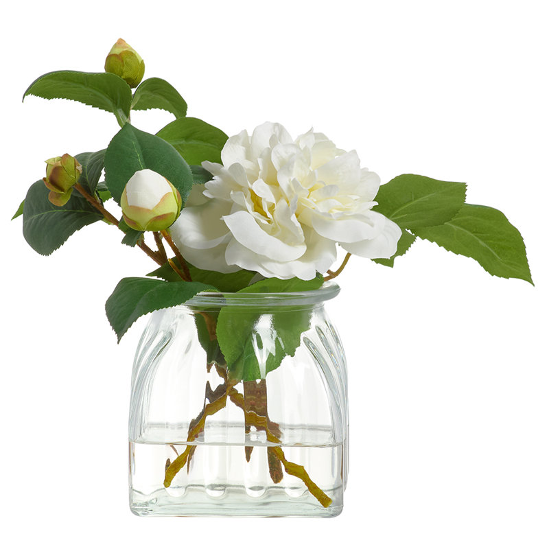 Camélia 8 "dans un vase en verre