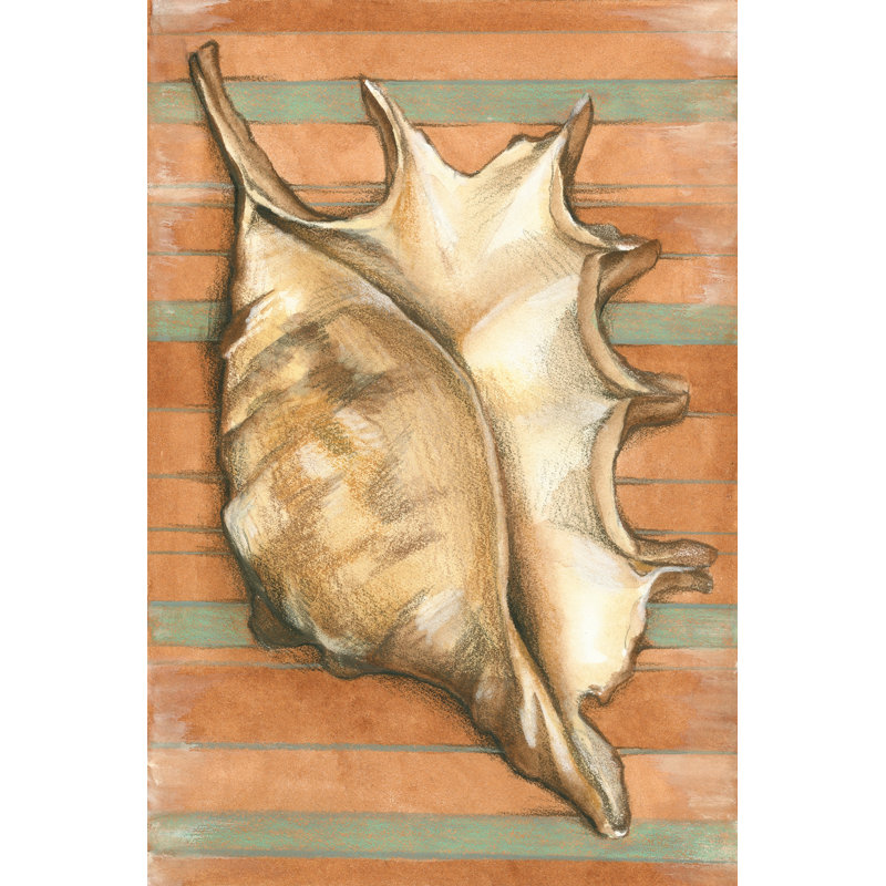 Shell On Stripes II - Wrapped Canvas Painting, 30cm H x 46cm W x 3.8cm D