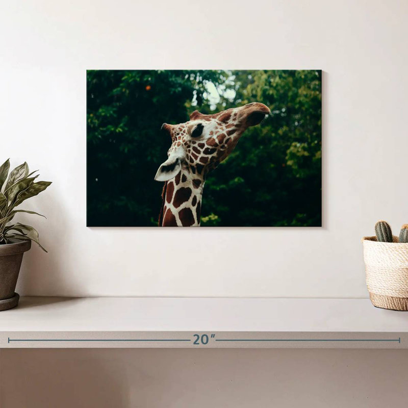 Brampt Giraffe Head Close-Up, 8" H x 12" W