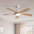 Damecia 52'' Ceiling Fan with LED Lights-297176346