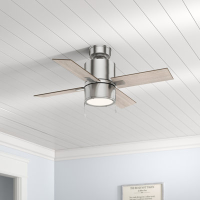 42" Beck 4 - Blade Standard Ceiling Fan with Pull Chain and Light Kit Included