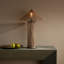 Belize Table Lamp