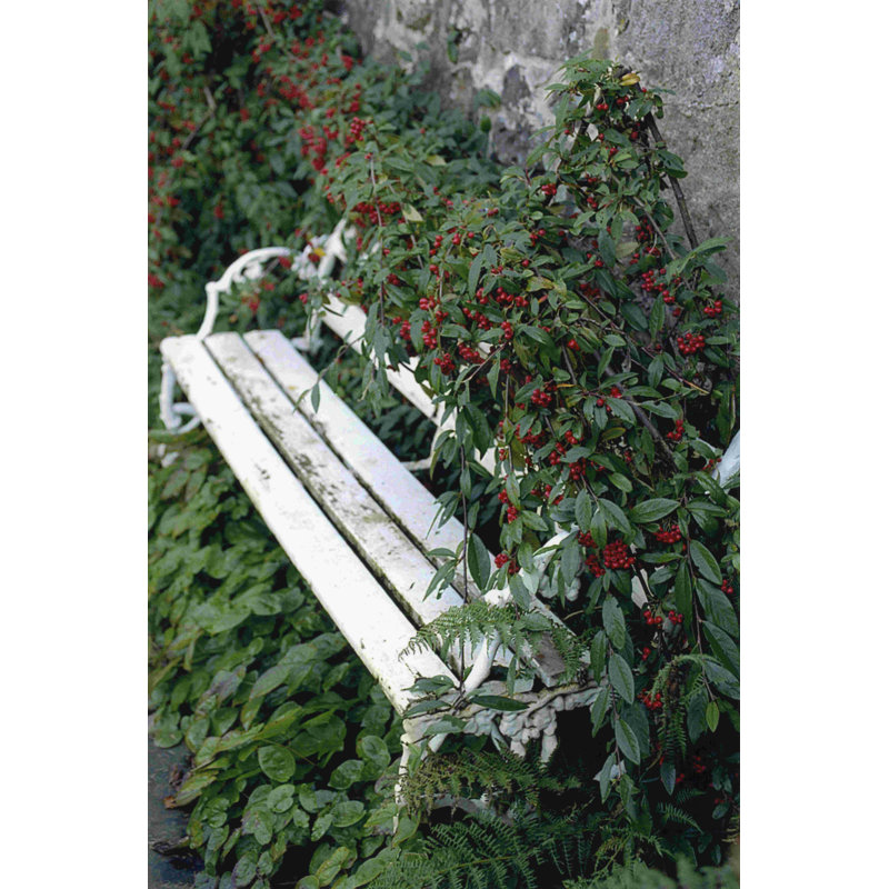 " White Bench " by Meg McComb, 48" H x 32" W  