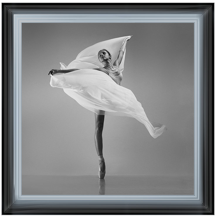 Single Picture Frame Print on Glass