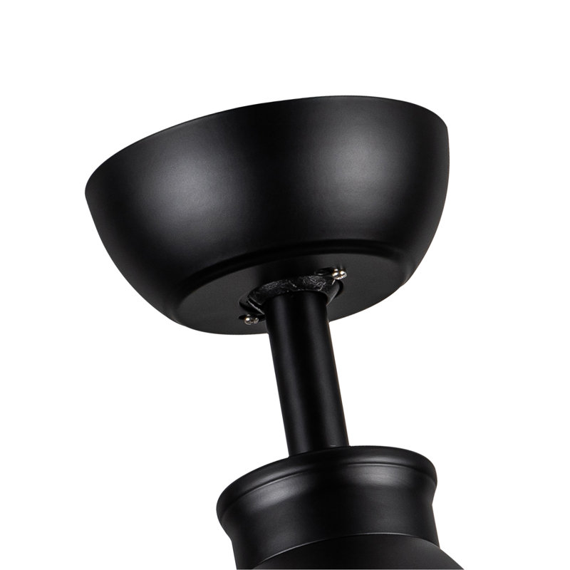Ventilateur de plafond noir 52 pouces avec lumière DEL