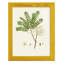Printemps, feuillage vert vii encadré sur papier, impression-1254650044-1254649985