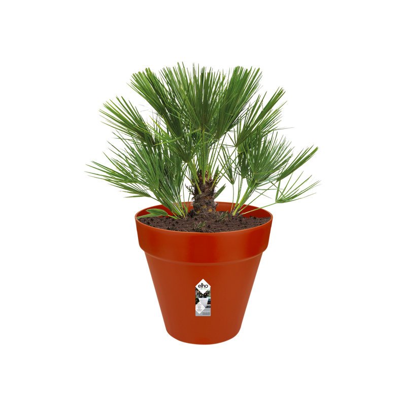 Pot Planter, Brique, 53.2cm H x 59cm W x 59cm D