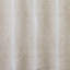 Wiley Fabric-40169656