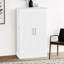 Armoire de rangement multifonctionnelle avec tablette réglable