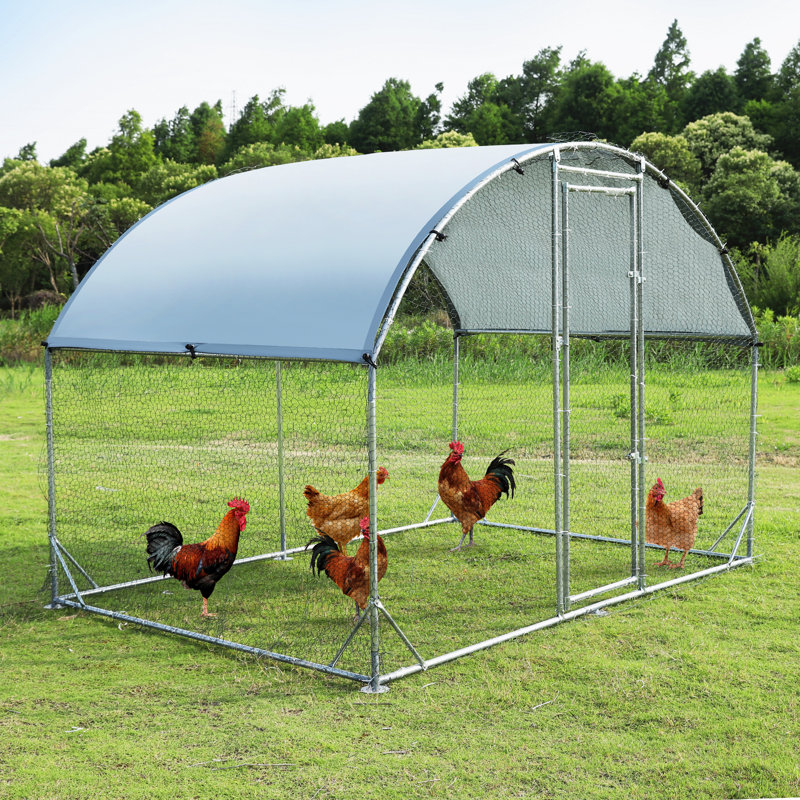 Elliya 57.26 Square Feet Chicken Coop For Up To 8 Chickens