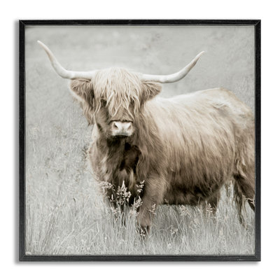Subtle Longhorn Cattle Framed Giclee Art by Danita Delimont