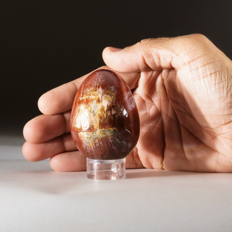 Petrified Wood Egg, 2" H x 1.75" W x 1.75" D, Orange/Yellow/Brown