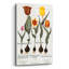  «Tulips» par Art Licensing Studio, art mural en verre acrylique, 12 po x 16 po