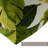 Lester Outdoor Chair Cushion-92145737-92145762-124654057