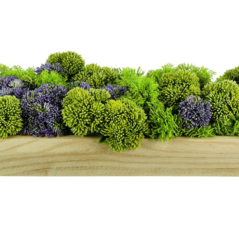Sedum and Moss Arranged in Wood Planter, Purple
