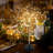 18'' Battery Powered Integrated LED Outdoor Floating Light