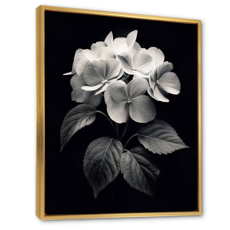 " Black White Hydrangea Blooming III ", 20" H x 12" W x 1.5" D, Gold Floater Framed