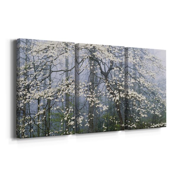 Red Barrel Studio® Dogwood Canopy Framed On Canvas 3 Pieces Print | Wayfair