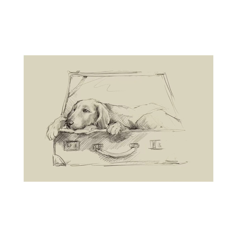 Stowaway III by Ethan Harper - Wrapped Canvas Print, 20.32 cm H x 30.48 cm W