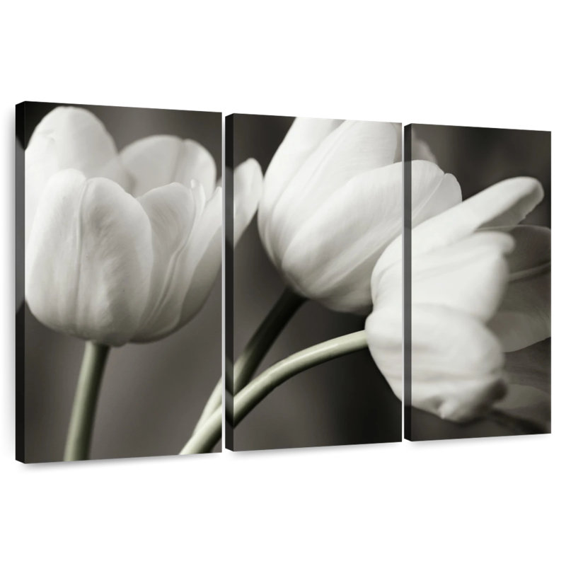 Harnek rangée de tulipes BW, H 32 po x l 50 po