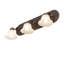 3 - Light Vanity Light
