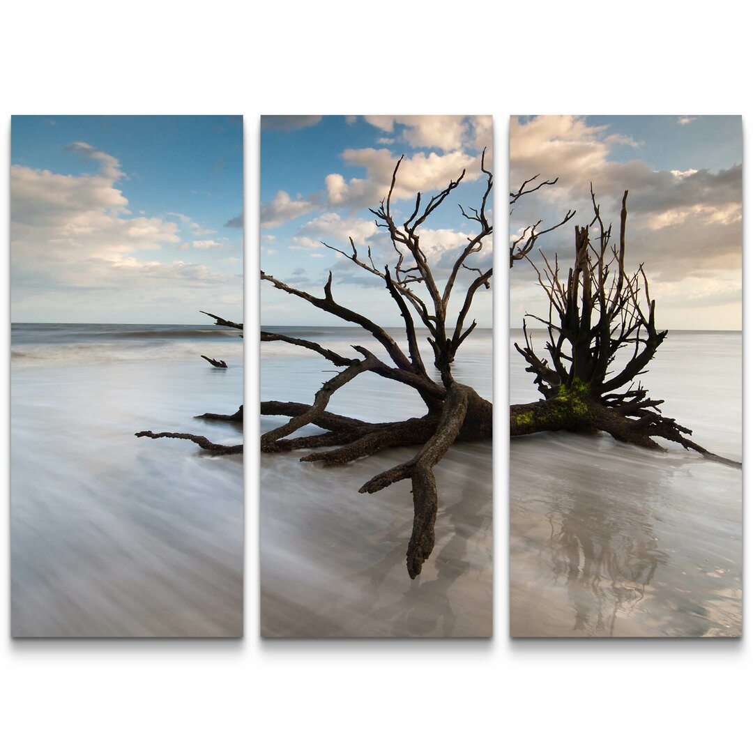 3-tlg. Leinwandbilder-Set Baumstumpf am Strand