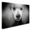 « standard caniche », reproduction d’impression sur toile tendue-33555907