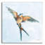 «Barn Swallow Flight 1» par Sue Schlabach, art mural en verre acrylique-307745326