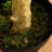 120'' Faux Eucalyptus Tree in Pot Liner
