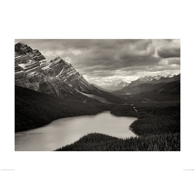 Print on Canvas