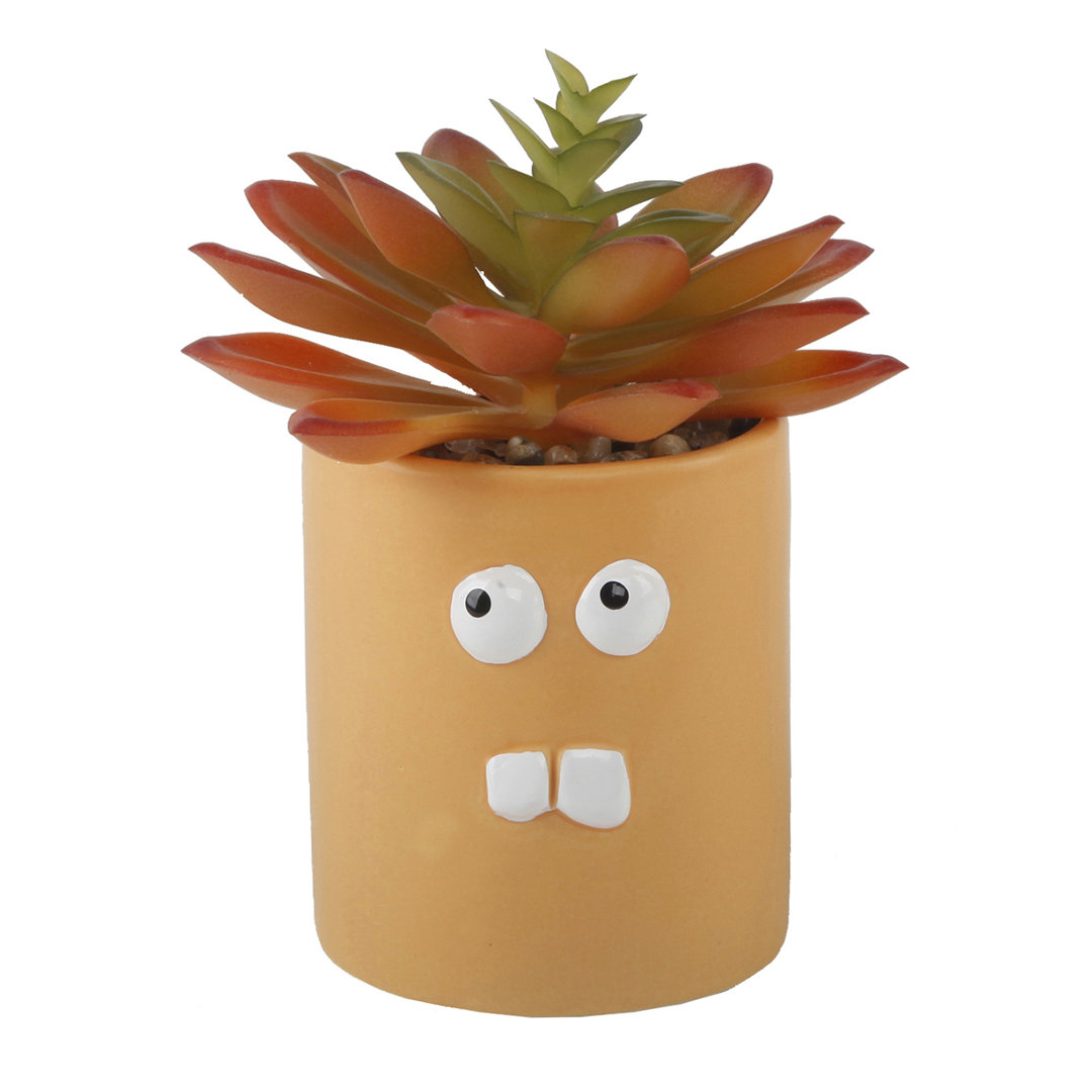 5'' Faux Succulent Plant in Ceramic Pot The Holiday Aisle®