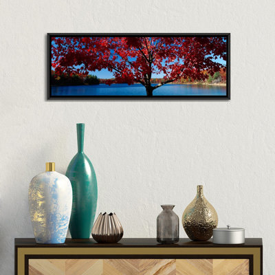 «Gros plan sur un arbre, étang Walden, Concord, Massachusetts», reproduction de photo sur toile