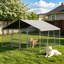 Dog House-796617350