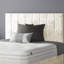 Hedley Upholstered Velvet Headboard-565968386-565968397