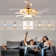 Karneshia Ceiling Fan with LED Lights