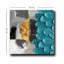 Peinture décorative sur toile