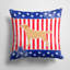 Coussin intérieur/extérieur Patriotic-1497389984